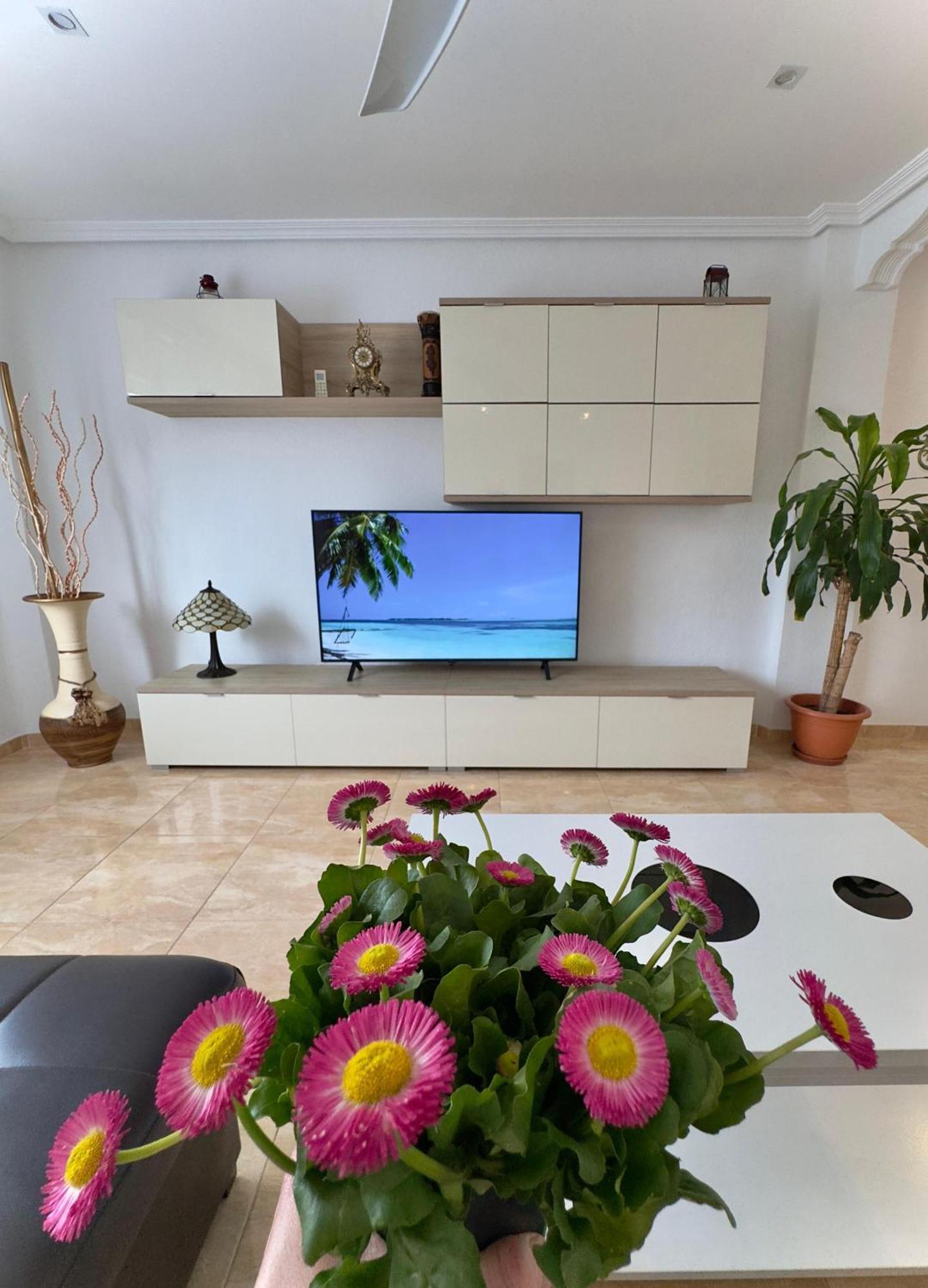 Alenia Apartments Alicante Ngoại thất bức ảnh
